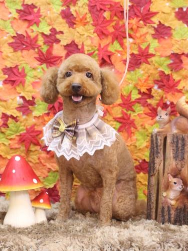 20241102ジョニーくん